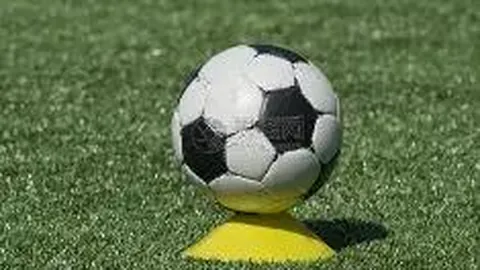 《圖片報》：拜仁欲轉會戴維斯，內部將特奧視為替補選擇